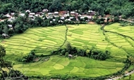 Pu Luong Nature Reserve attracts more trekkers